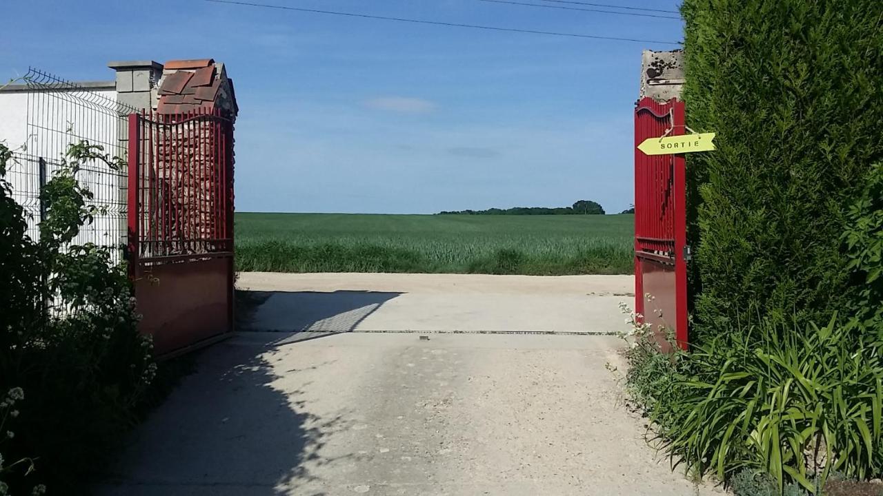 Les Nympheas, Appart Au Calme Et Grand Jardin A 15 Min De Disneyland, Crecy-la-Chapelle Exterior photo